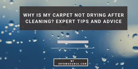 Carpet Not Drying After Cleaning