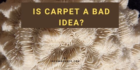 Is carpet a bad idea