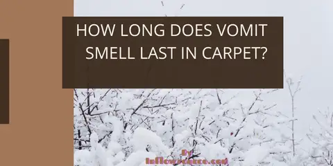 how long does vomit smell last in carpet