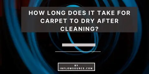 How Long Does it Take for Carpet to Dry After Cleaning