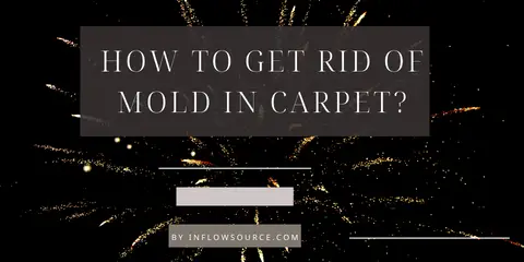 How To Get Rid of Mold in Carpet