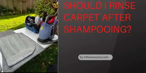 should i rinse carpet after shampooing