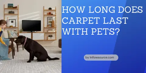 how long does carpet last with pets