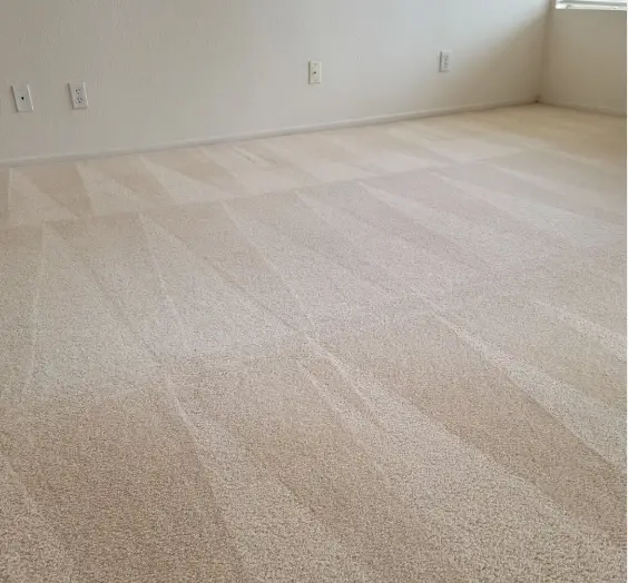 should I rinse carpet after shampooing