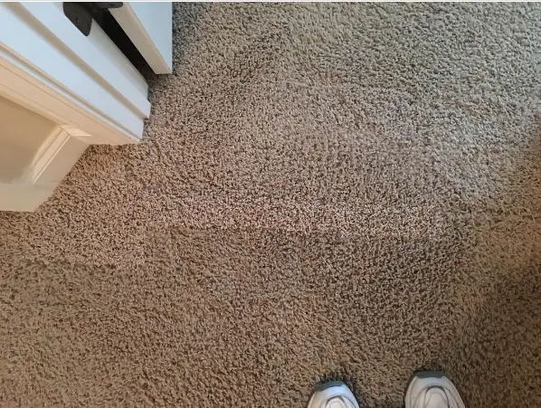 How Long Does it Take for Carpet to Dry After Cleaning