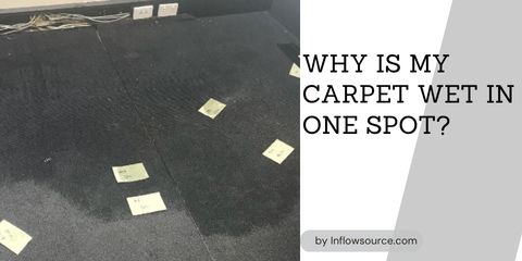 why is my carpet wet in one spot