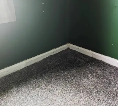 Why Is My Carpet Wet In One Spot