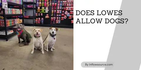 does lowes allow dogs