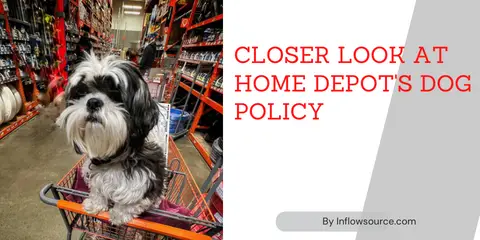 home depot dog policy